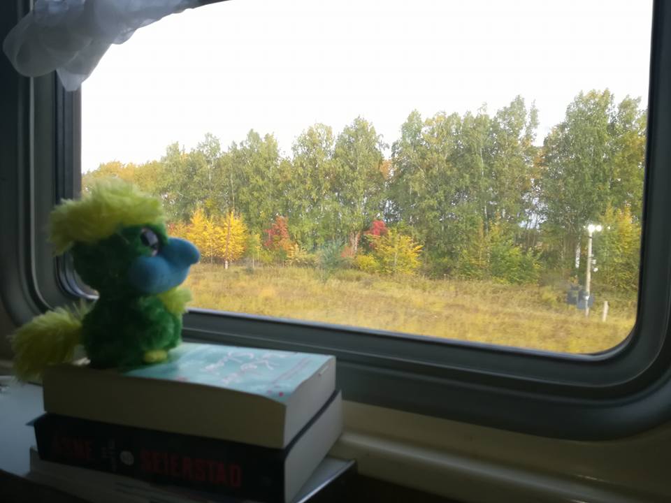 Looking at the view through Siberia! Looking at the view through Siberia!