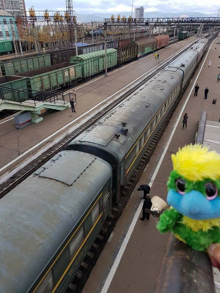 Eddie is ready for another big train journey. This time it’s a 23 hour ride from Irkutsk to Ulan Bator. Eddie is ready for another big train journey. This time it’s a 23 hour ride from Irkutsk to Ulan Bator.