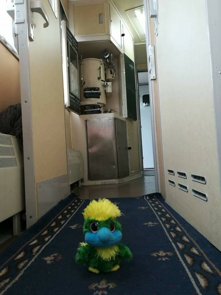 Eddie casually strolling in front of the samovar. He loved to be back on the train!! Eddie casually strolling in front of the samovar. He loved to be back on the train!!
