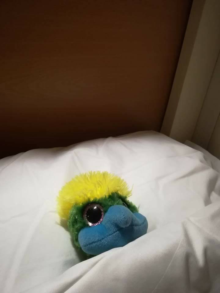 A good nights sleep below the car deck on MS Silja Symphony. A good nights sleep below the car deck on MS Silja Symphony.