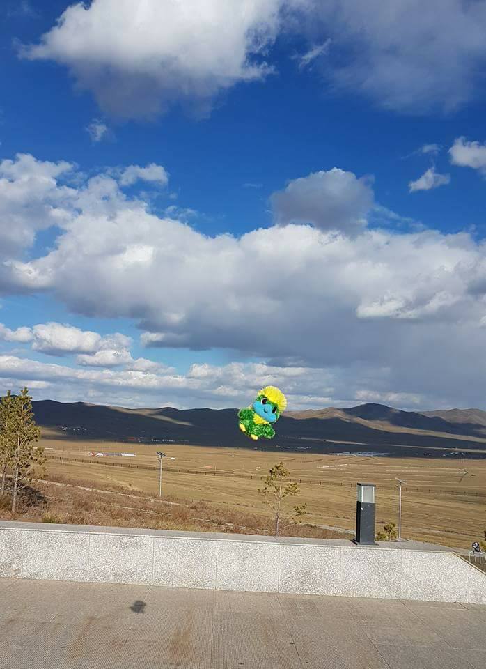 Wiiiiiiiihiiiii…. I’m flying!! Feeling free as a bird.. Ehm… Eagle!!! 🦅 Wiiiiiiiihiiiii…. I’m flying!! Feeling free as a bird.. Ehm… Eagle!!! 🦅