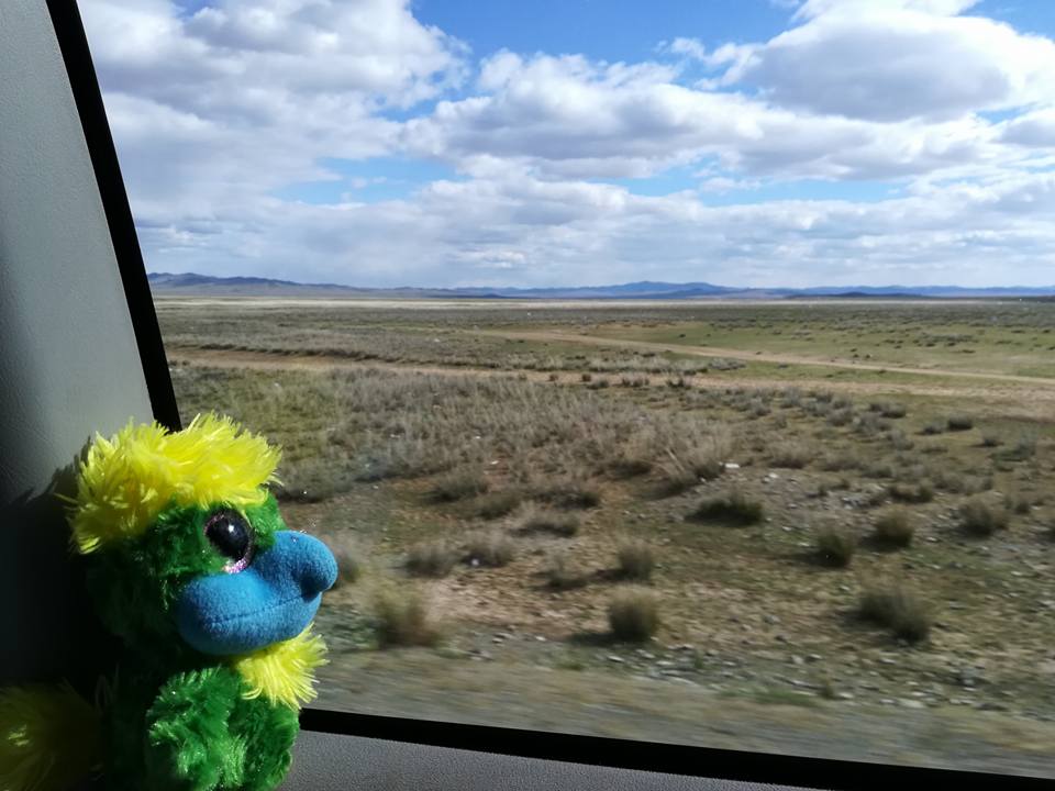 Watching the endless Mongolian steppes! Watching the endless Mongolian steppes!