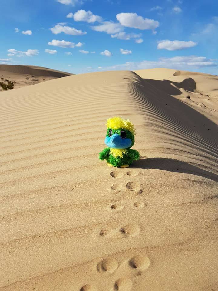 Looooove the feeling of sand between my toes!!… Even though it is close to 0 degrees! Looooove the feeling of sand between my toes!!… Even though it is close to 0 degrees!