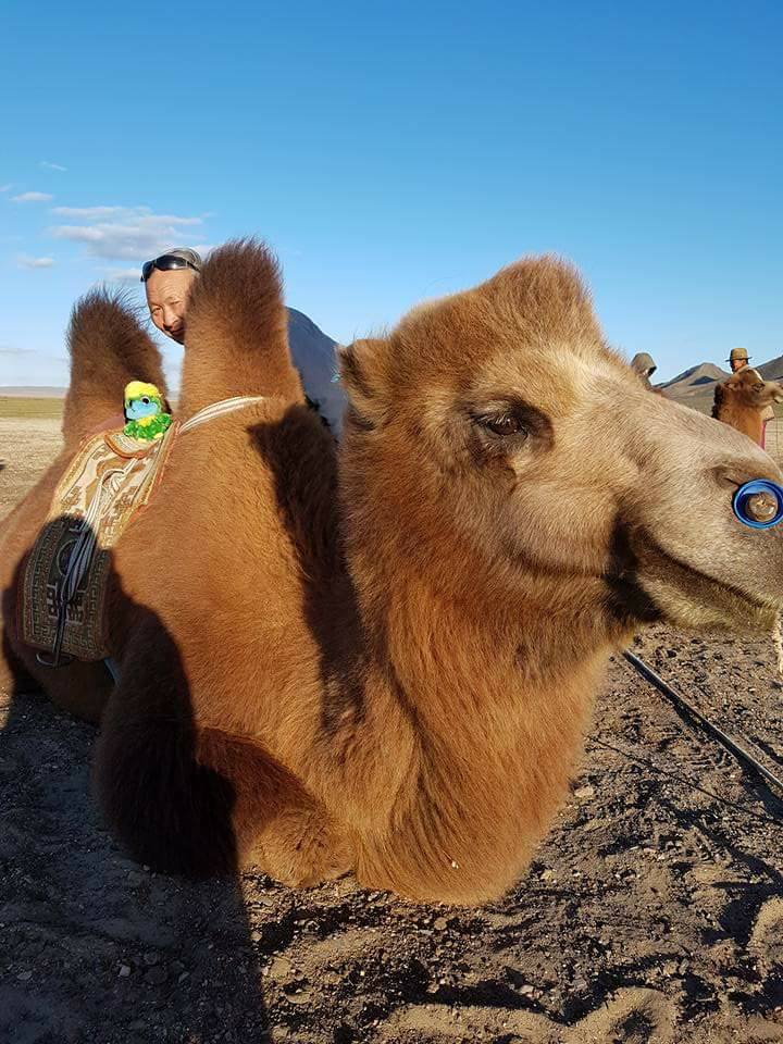 The ship of the desert… his master… And me! The ship of the desert… his master… And me!