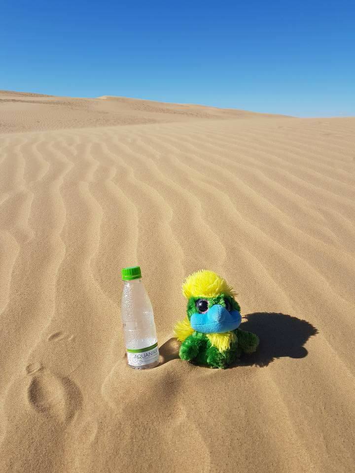 … Getting thirsty in sandy environments! This-is-not-vodka-! … Getting thirsty in sandy environments! This-is-not-vodka-!