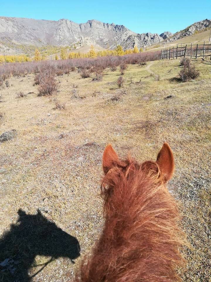 Horsebackriding is FUN! 😃 Horsebackriding is FUN! 😃