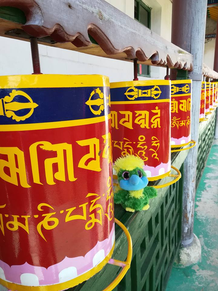 Paying my respect at a Buddhist meditation temple where it was actually allowed to take pictures. Paying my respect at a Buddhist meditation temple where it was actually allowed to take pictures.