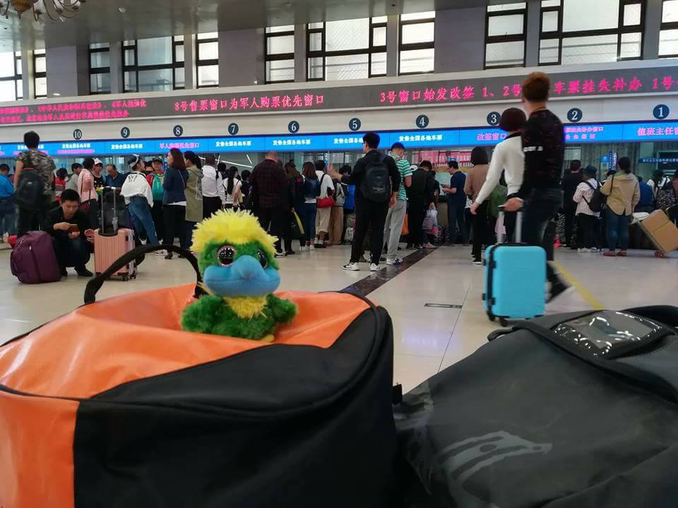 Picking up train tickets in China? No problem for globetrotter-Eddie. Picking up train tickets in China? No problem for globetrotter-Eddie.