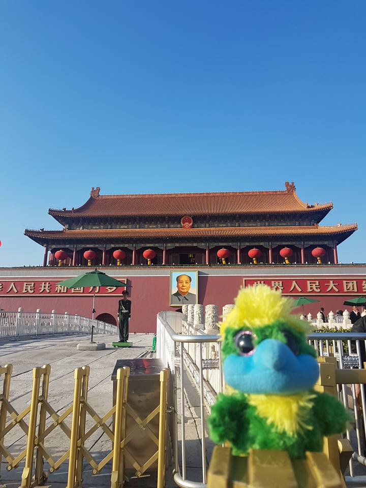 Posing like the guards at Tianmen Square. Posing like the guards at Tianmen Square.