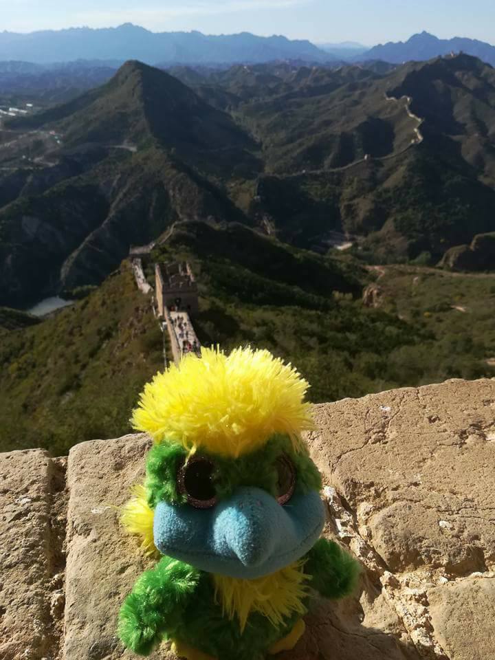 Great views of the Great Wall. Great views of the Great Wall.