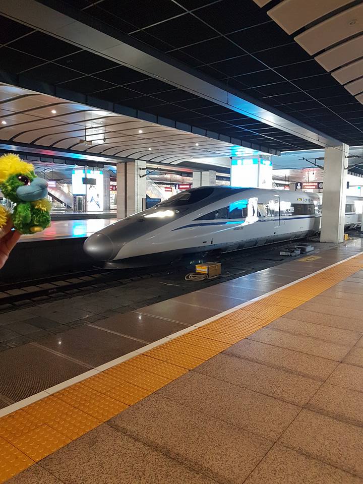Ready for the bullet train from Beijing to Shanghai. Ready for the bullet train from Beijing to Shanghai.