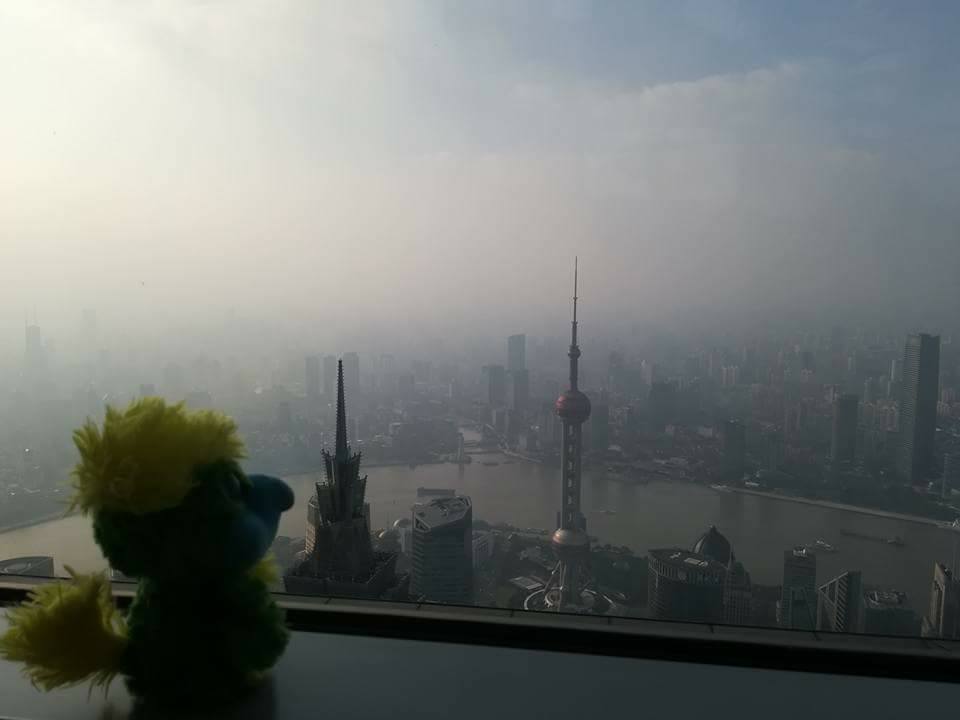 oslo-shanghai-80
