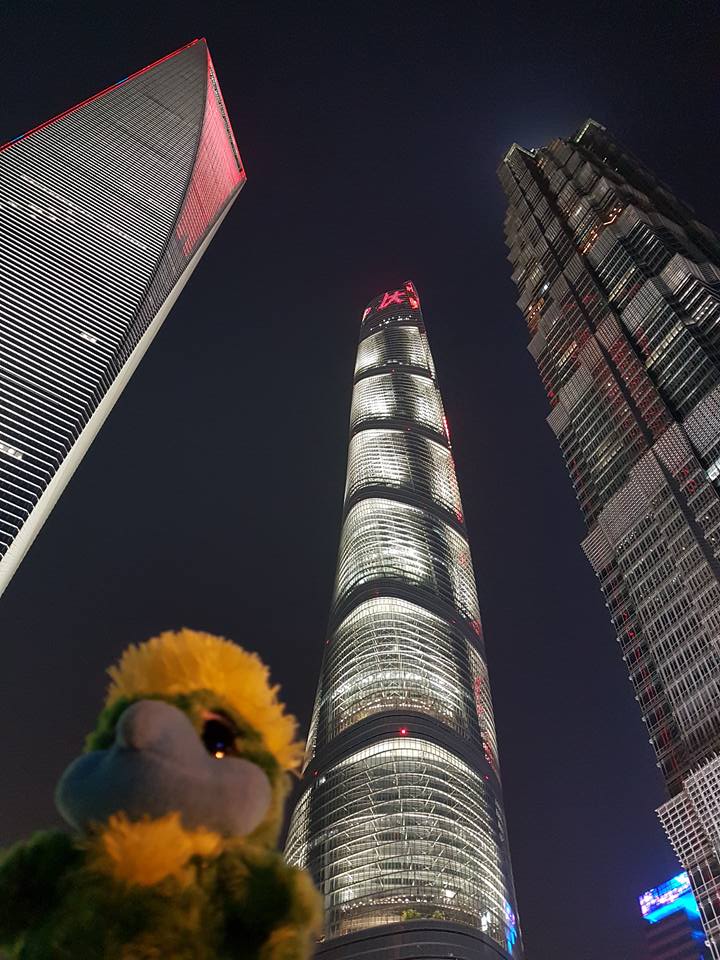 Eddie looking up at the skyscrapers of Shanghai. Eddie looking up at the skyscrapers of Shanghai.