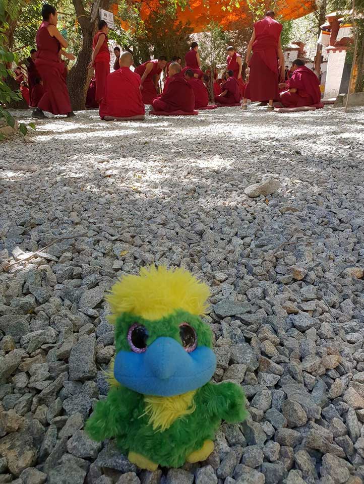 Debating monks in Sera Monastery… Debating monks in Sera Monastery…