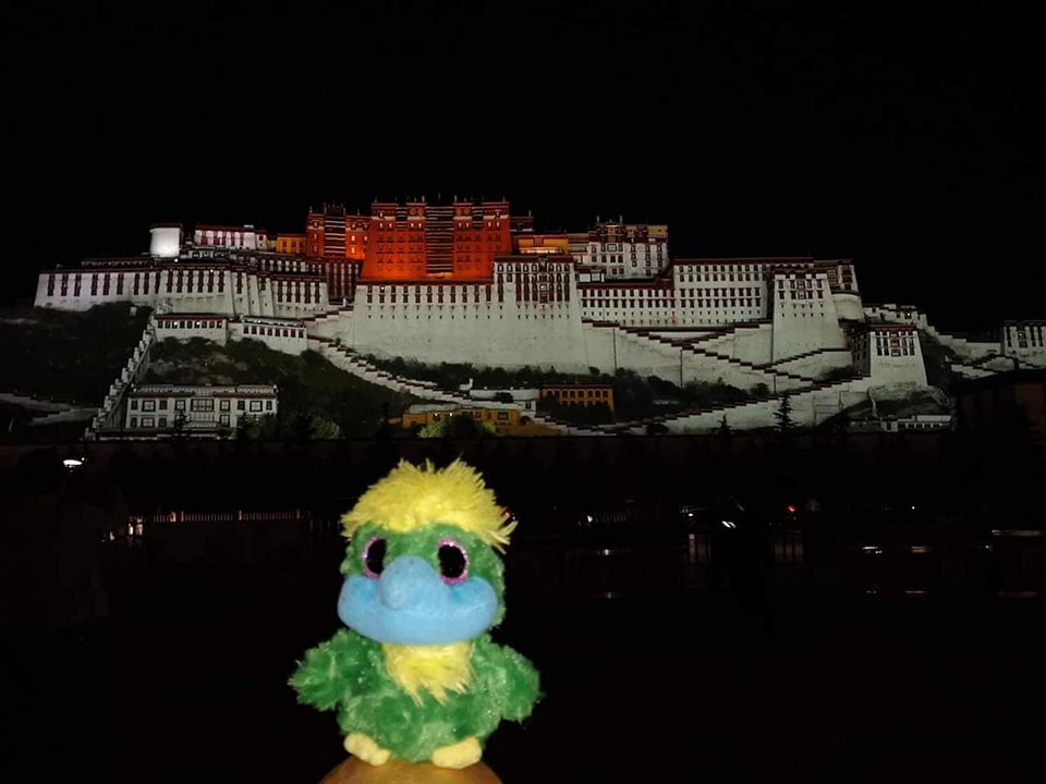 After 48 hours, Eddie finally reached Lhasa and the amazing and massive Potala Palace where the 5th to the 14th Dalai Lama have lived. The 14th had to escape to India in 1959 and have been in exile since…. 😔 After 48 hours, Eddie finally reached Lhasa and the amazing and massive Potala Palace where the 5th to the 14th Dalai Lama have lived. The 14th had to escape to India in 1959 and have been in exile since…. 😔