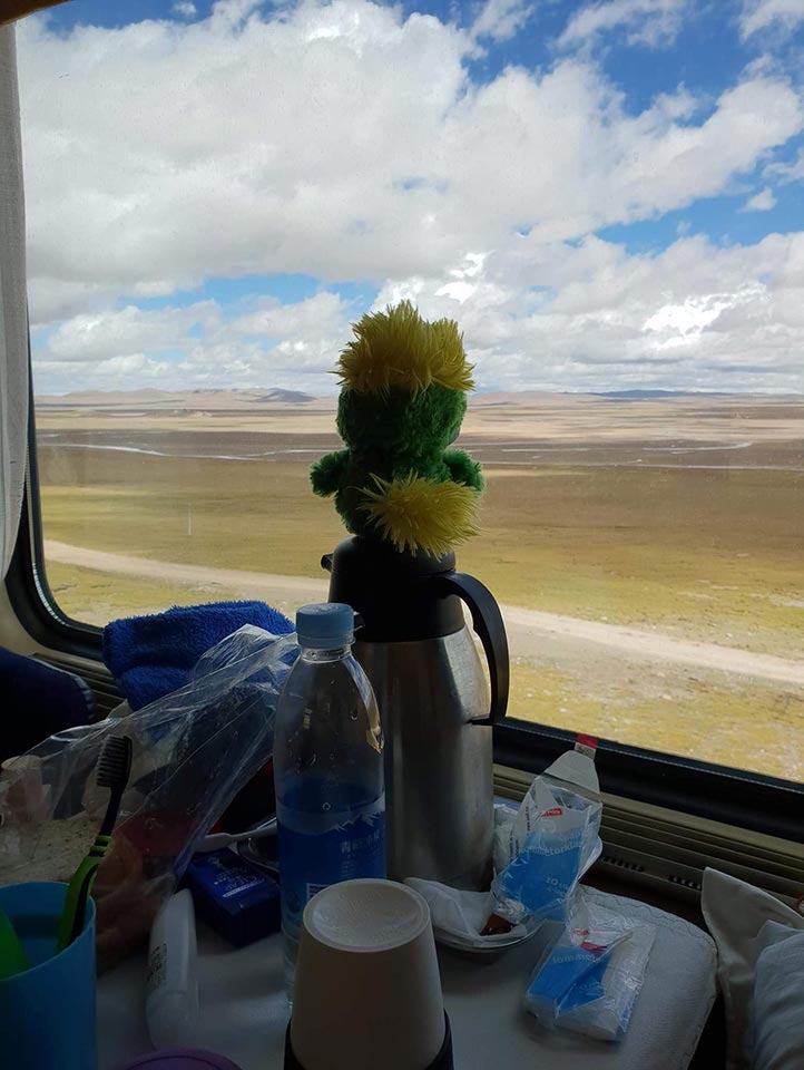 Entering into Tibet and we are all mesmerized with the view! (who cares about keeping it tidy then… ) Entering into Tibet and we are all mesmerized with the view! (who cares about keeping it tidy then… )