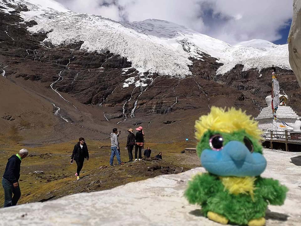 Korola Glacier! 5020m…. Felt like a walk in the park! 😏 Korola Glacier! 5020m…. Felt like a walk in the park! 😏