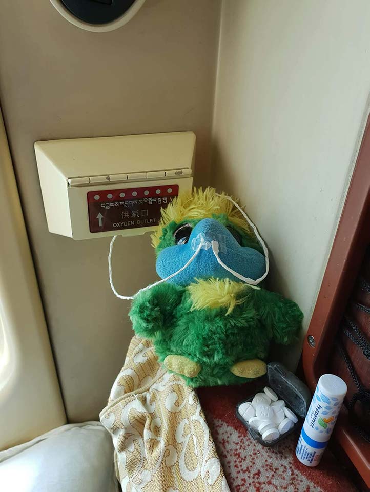 …. As Eddie’s small wings haven’t been able to to take him higher than… ehm… What his caretakers bother to climb… Some extra oxygen ++ was needed when the train passed the worlds highest railway station at 5068m. 🚂🏔️ …. As Eddie’s small wings haven’t been able to to take him higher than… ehm… What his caretakers bother to climb… Some extra oxygen ++ was needed when the train passed the worlds highest railway station at 5068m. 🚂🏔️