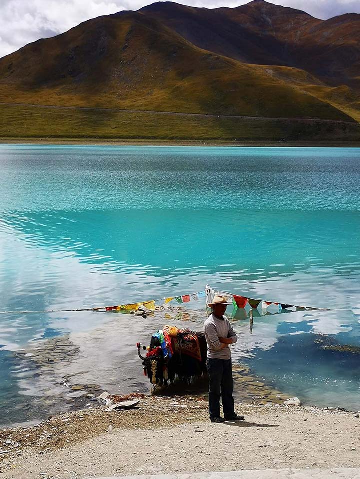 Yamdrok Lake and a real Yak at 4400m. Yamdrok Lake and a real Yak at 4400m.