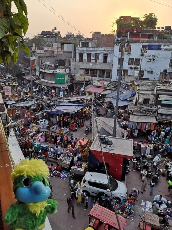 Eddie never gets tired from watching the endless stream of traffic and people in Paharganj!! ❤ Eddie never gets tired from watching the endless stream of traffic and people in Paharganj!! ❤