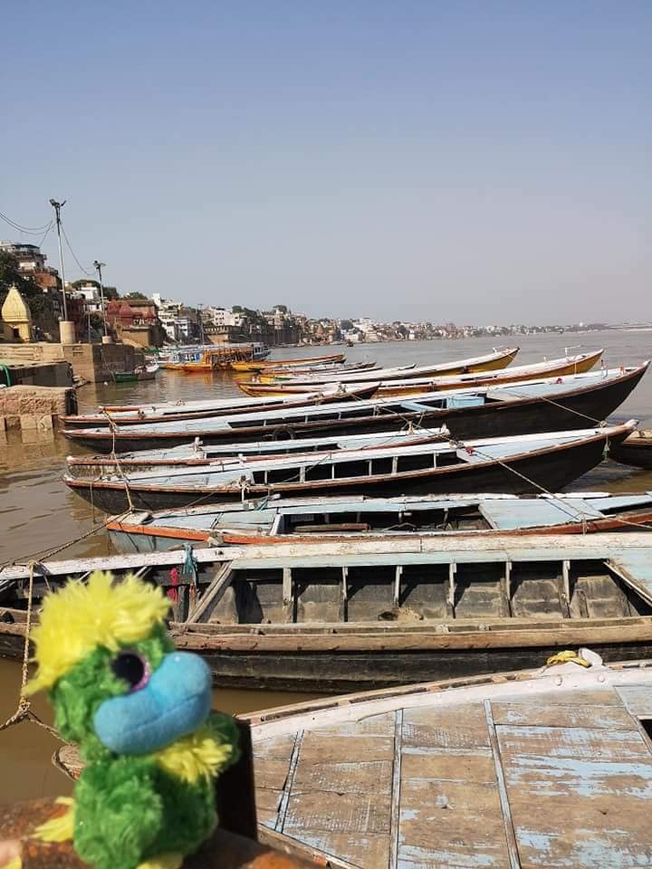 After a 22 hour trip from Pokhara in Nepal, we finally reached Varanasi!! Eddie is soooo happy to be in India 😀 After a 22 hour trip from Pokhara in Nepal, we finally reached Varanasi!! Eddie is soooo happy to be in India 😀