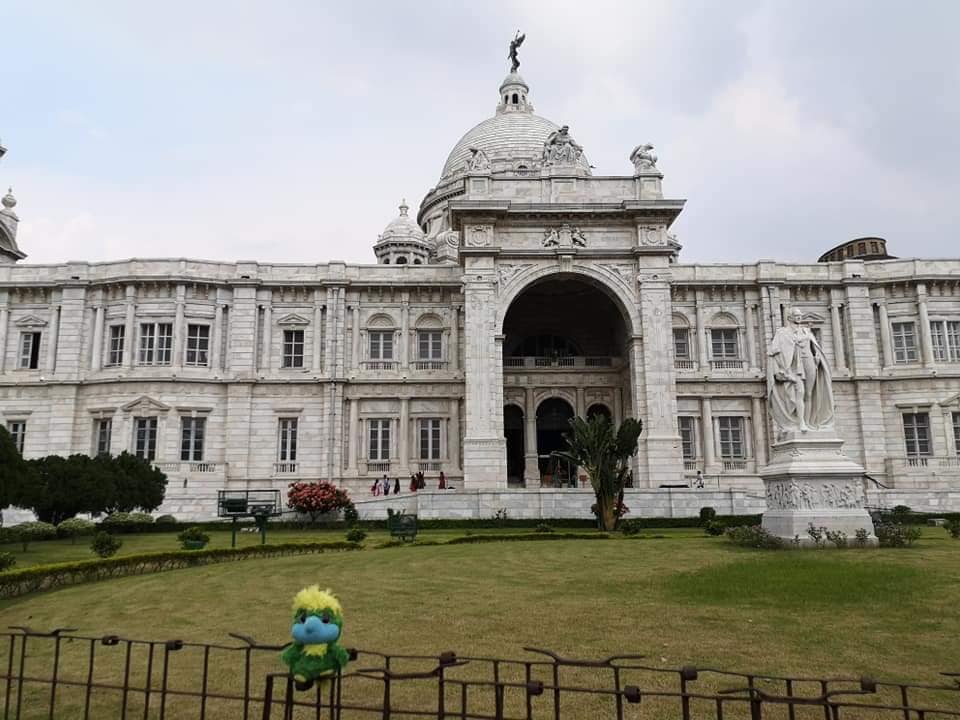 Sightseeing in Kolkata didn’t take Eddie long. Victoria Memorial was what he found the most impressive. Eddie is wondering why the locals are staring every time he poses for photos… He’s such a superstar in this part of the world 🌟 Sightseeing in Kolkata didn’t take Eddie long. Victoria Memorial was what he found the most impressive. Eddie is wondering why the locals are staring every time he poses for photos… He’s such a superstar in this part of the world 🌟