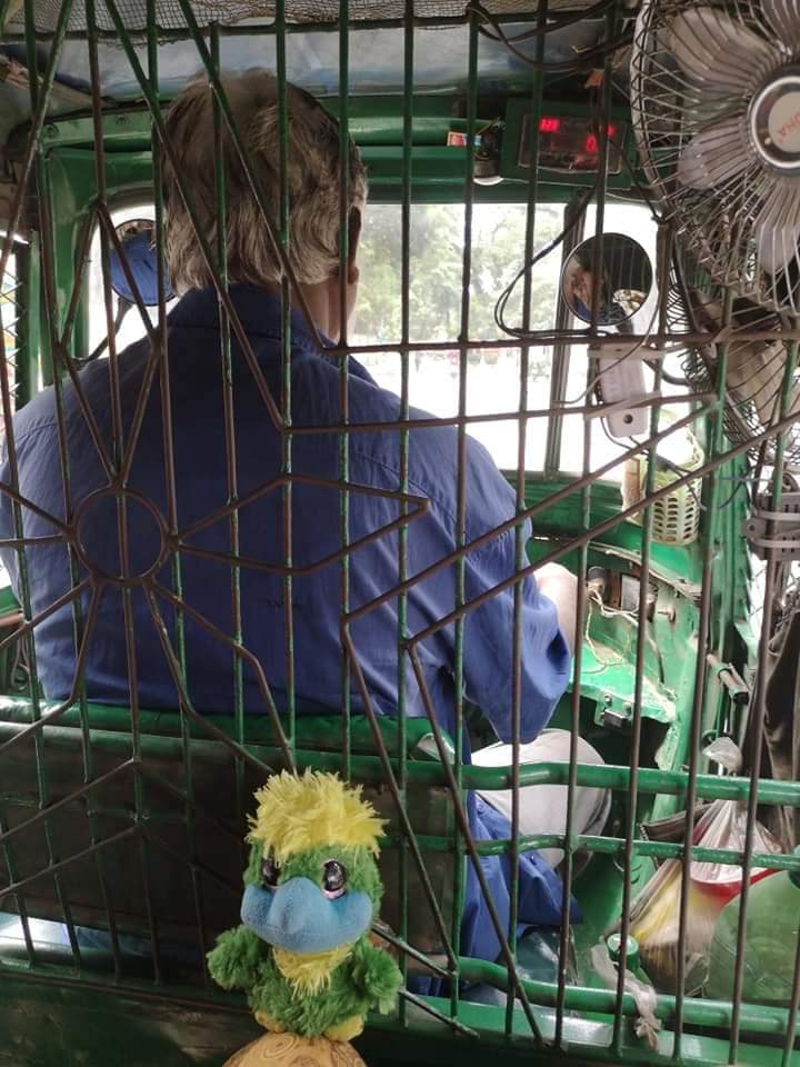 Safe and sound inside a CNG (autorickshaw) in Dhaka. Safe and sound inside a CNG (autorickshaw) in Dhaka.
