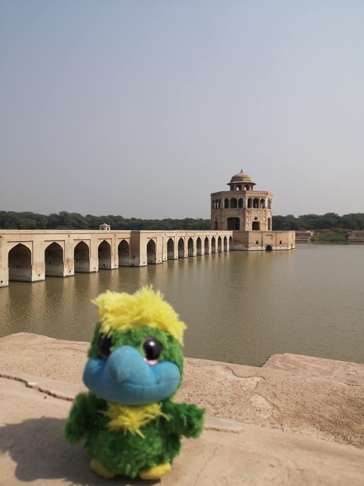 After a couple of days in Lahore, Eddie wings took him to Hiran Minar, 40km north of Lahore. Built at the site of a game reserve in honour of Mughal Emperor Jahangir’s pet antelope. After a couple of days in Lahore, Eddie wings took him to Hiran Minar, 40km north of Lahore. Built at the site of a game reserve in honour of Mughal Emperor Jahangir’s pet antelope.