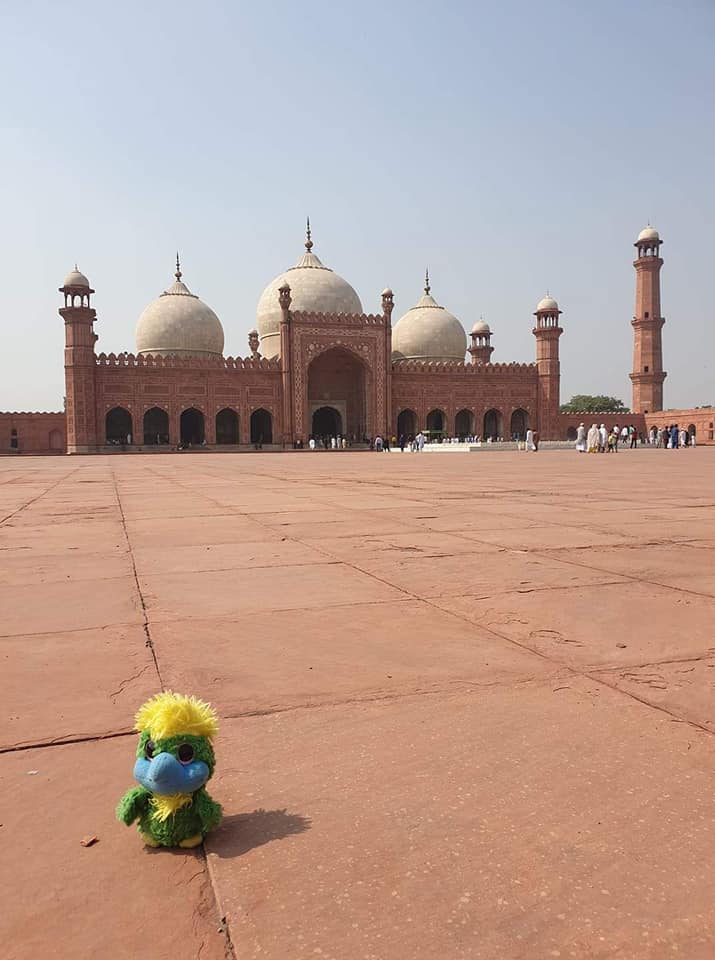 Badshahi Masjid, Lahore’s most iconic landmark! 🕌 Eddie was very doubtful about being taken pictures of outside a mosque, but as everybody was asking for selfies of his caretakers on holy ground, he took the chance… Badshahi Masjid, Lahore’s most iconic landmark! 🕌
Eddie was very doubtful about being taken pictures of outside a mosque, but as everybody was asking for selfies of his caretakers on holy ground, he took the chance…