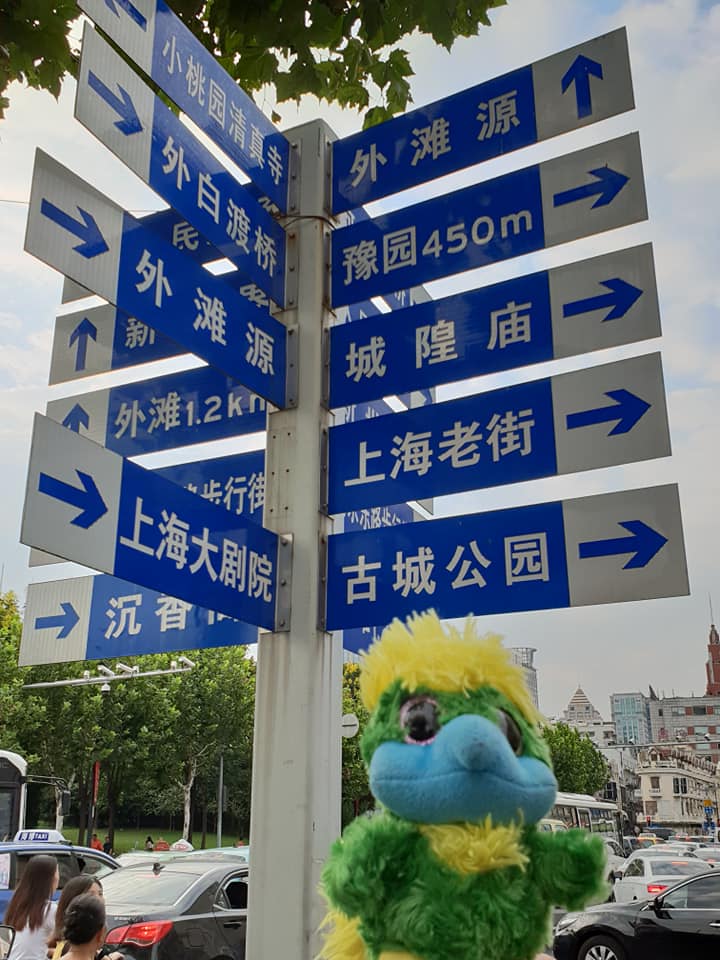 Hmmmm… I’m not lost, I promise!!! Going left…or right? Hmmmm… I’m not lost, I promise!!! Going left…or right?
