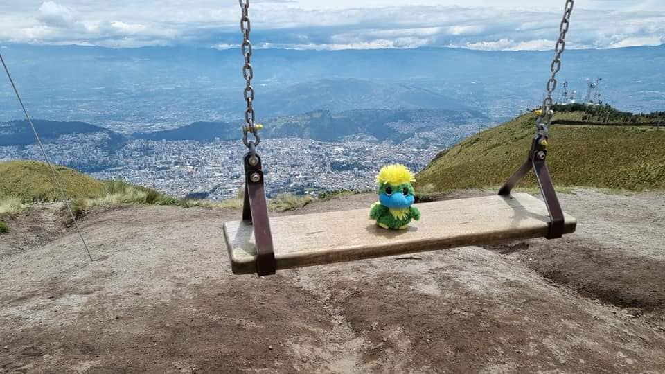 Though short breathed, Eddie enjoyed the swing at 4100m on the eastside of volcano Pichincha. Though short breathed, Eddie enjoyed the swing at 4100m on the eastside of volcano Pichincha.