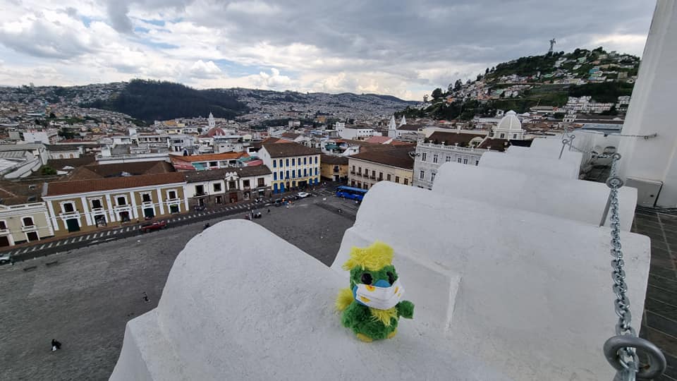 Eddie is taking his sightseeing in Quito seriously. Excellent views of the Old town and El Panecillo from Iglesia Catolica San Francisco. Eddie is taking his sightseeing in Quito seriously. Excellent views of the Old town and El Panecillo from Iglesia Catolica San Francisco.