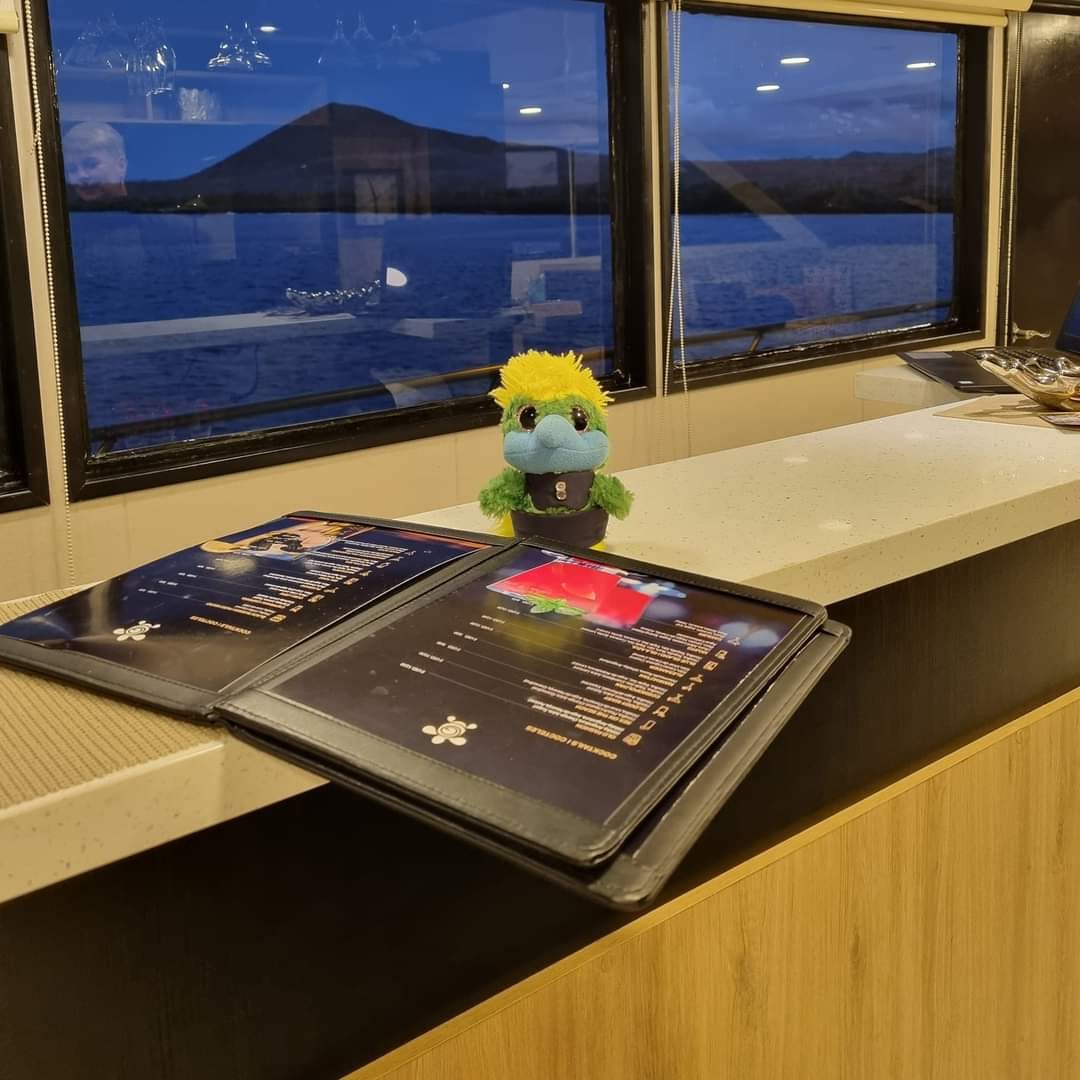 Hanging in the #Bonita bar, wondering what to order… 🍷or🍸or🍹or🍺or🥂? Hanging in the #Bonita bar, wondering what to order… 🍷or🍸or🍹or🍺or🥂?