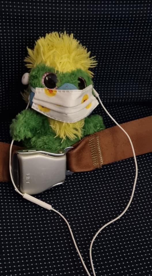 Eddie is finally back on his first long haul flight in a very long time! Facemask on, feet up, 4 movies, 3 inflight meals, 12 hours in a metal tube – in short all the things he didn’t realize he’s secretly been missing for a loooong time ✈ Eddie is finally back on his first long haul flight in a very long time! Facemask on, feet up, 4 movies, 3 inflight meals, 12 hours in a metal tube – in short all the things he didn’t realize he’s secretly been missing for a loooong time ✈