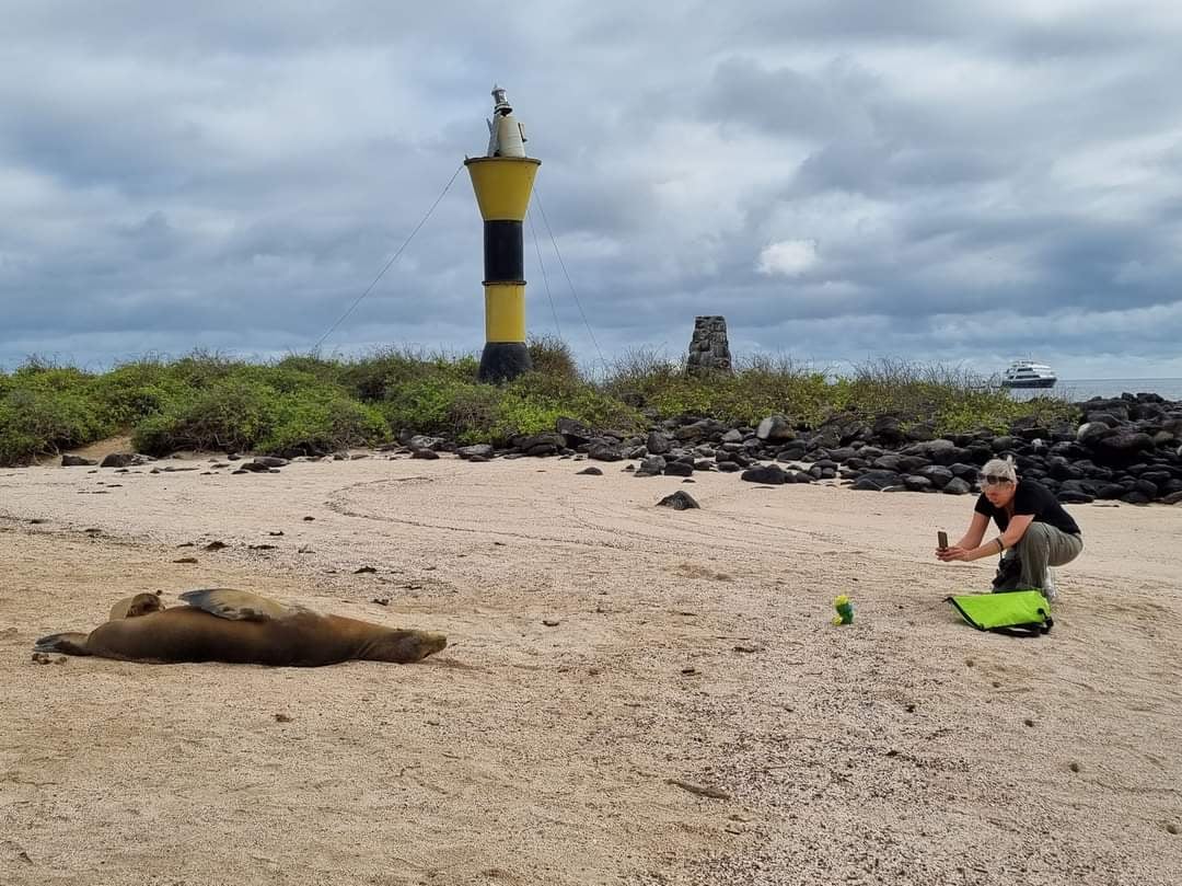 BEHIND THE SCENES: Getting the perfect shot of a demanding eagle takes a lot of work! The sea lion couldn’t care less about exotic eagles though. BEHIND THE SCENES: Getting the perfect shot of a demanding eagle takes a lot of work! The sea lion couldn’t care less about exotic eagles though.