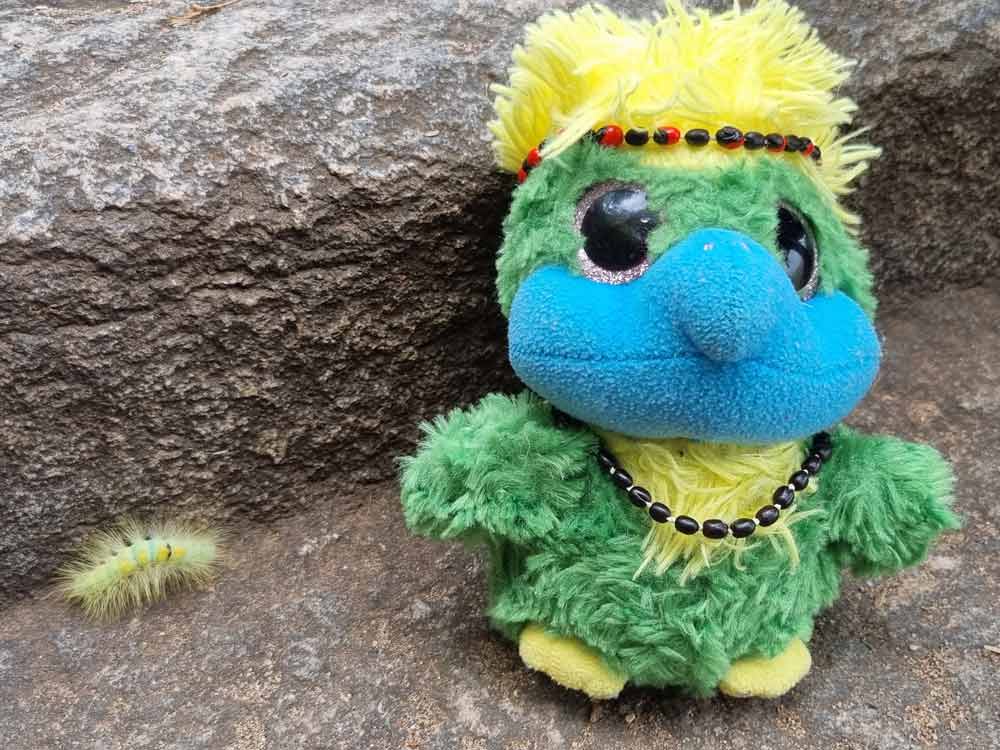 Mini-Me!! 😃👏❤️ A supercool centipede with the fluffiest yellow and green fur…must be an exotic (but less intellectual developed of course) relative of Eddie, right?? Mini-Me!! 😃👏❤️ A supercool centipede with the fluffiest yellow and green fur…must be an exotic (but less intellectual developed of course) relative of Eddie, right??