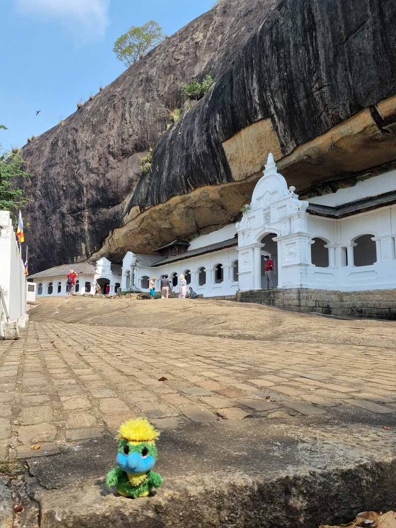 Dambulla Cave Temple… A sacred pilgrimage site for 22 centuries which is the largest and best-preserved cave temple complex in Sri Lanka. With 5 caves, loads of statues and thousands of paintings of Buddha covering the celings it is an spiritual experience! Dambulla Cave Temple… A sacred pilgrimage site for 22 centuries which is the largest and best-preserved cave temple complex in Sri Lanka. With 5 caves, loads of statues and thousands of paintings of Buddha covering the celings it is an spiritual experience!