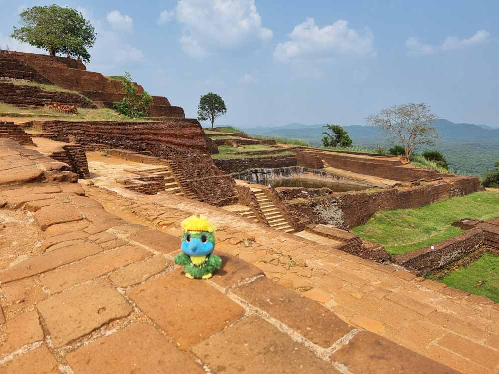 Eddie on top of Sigiriya! Eddie on top of Sigiriya!