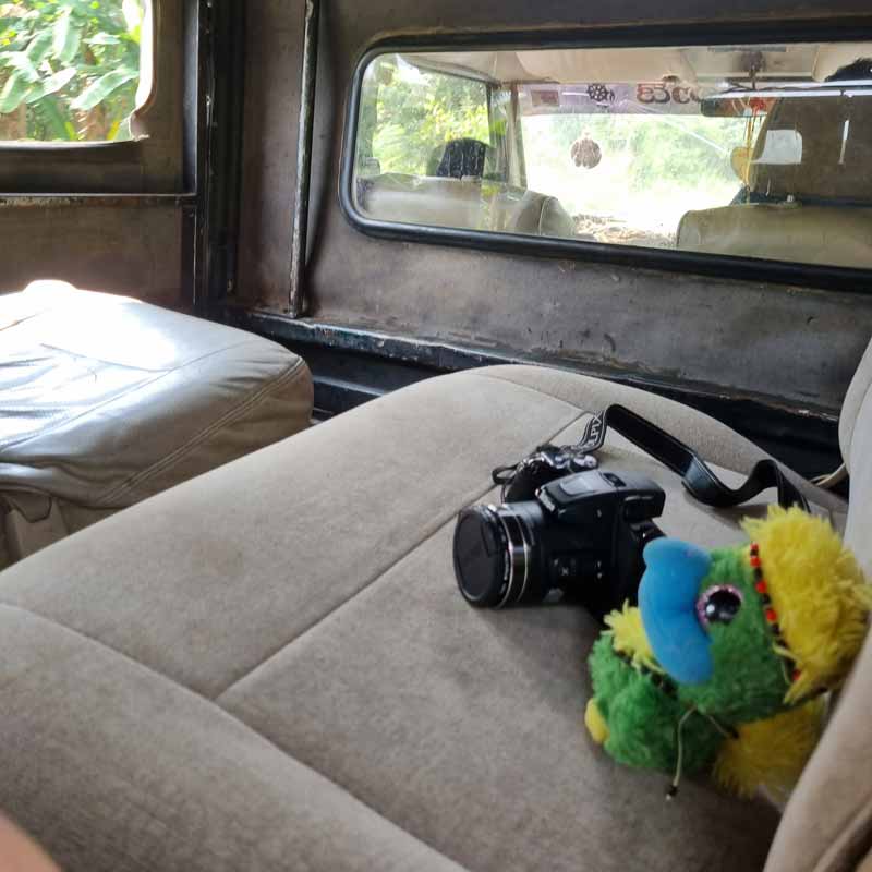 Ready & prepped for elephant safari 🐘 Ready & prepped for elephant safari 🐘