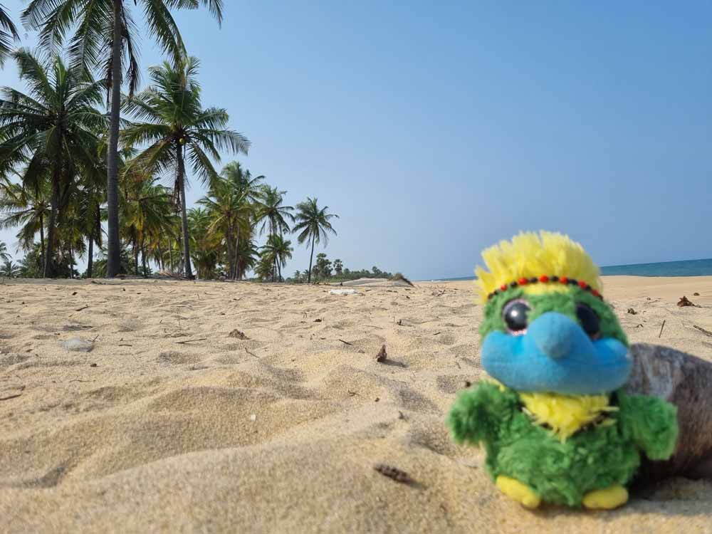 Beach bumming! 🏝 Beach bumming! 🏝