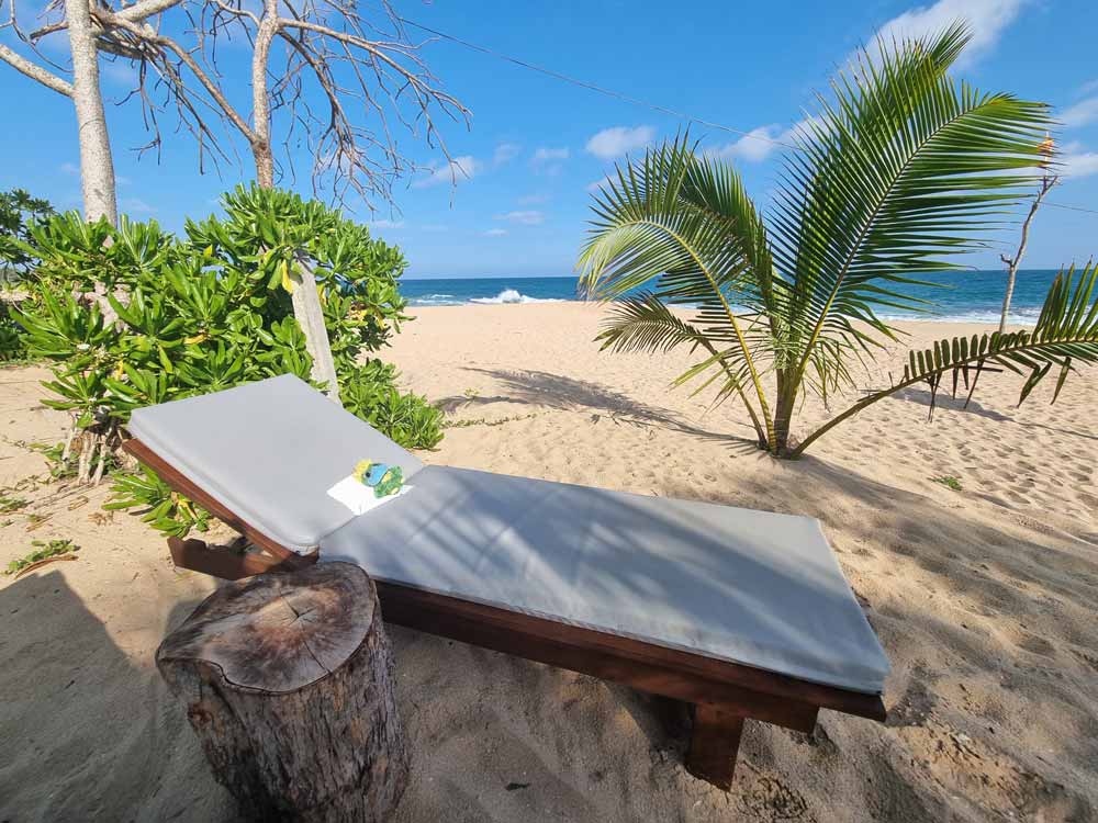 Eddie needed rest and relaxation at the beach in Tangalle after saying goodbye to Ricky 🌴🏖🍹 Eddie needed rest and relaxation at the beach in Tangalle after saying goodbye to Ricky 🌴🏖🍹