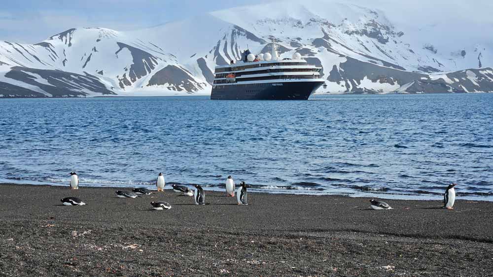 The penguins couldn't care less about the big ship parked in their backyard, nor any of the strange human visitors in green parkas strolling around. The penguins couldn't care less about the big ship parked in their backyard, nor any of the strange human visitors in green parkas strolling around.