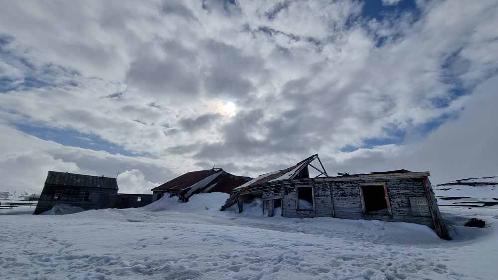 Whalers Bay. Whalers Bay.