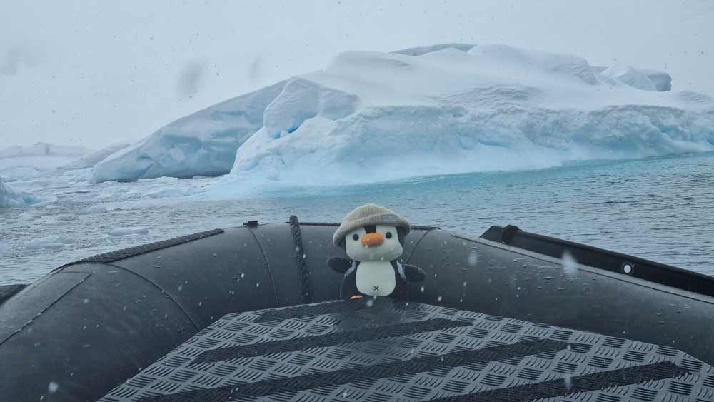 Pffff.... look at this pretender! Penguin?...HAH!! Pffff.... look at this pretender! Penguin?...HAH!!