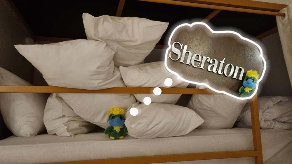 Eddie has developed posh demands after 1 night at Sheraton in Buenos Aires and 9 nights on an all inclusive luxury cruise. His caretakers are worried that this is what he expects in the future, (cause that 'aint gonna happen!!) so arriving back on land, he is immediately pulled back on ground again and checked into a hostel with dorm beds. Eddie has developed posh demands after 1 night at Sheraton in Buenos Aires and 9 nights on an all inclusive luxury cruise. His caretakers are worried that this is what he expects in the future, (cause that 'aint gonna happen!!) so arriving back on land, he is immediately pulled back on ground again and checked into a hostel with dorm beds.
