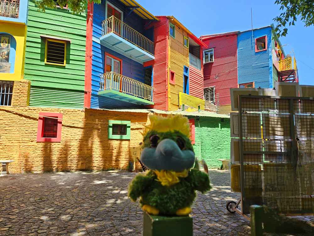 Back on dry land in La Boca, Buenos Aires! Even eagles appreciate the ground is no longer moving. He is pretty content with sun, 25 degrees and sightseeing in colorful surroundings. Back on dry land in La Boca, Buenos Aires! Even eagles appreciate the ground is no longer moving. He is pretty content with sun, 25 degrees and sightseeing in colorful surroundings.