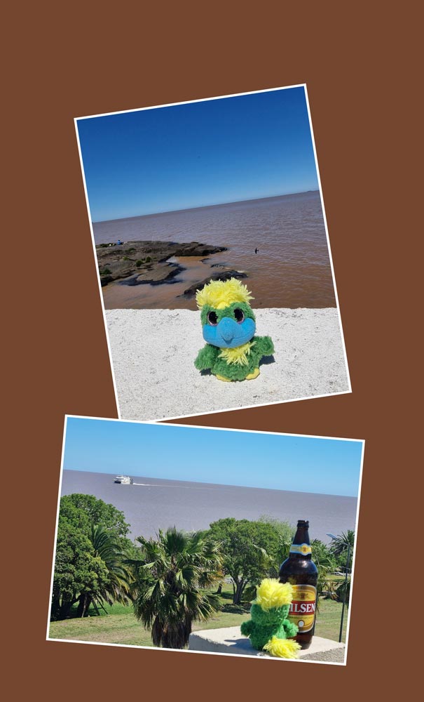 This ocean is browner than the Ganges! The beaches in Uruguay are white and beautiful, but the water.... not so tempting, caused by river sediments from Uruguay River and the Paraná River which creates Río de la Plata. This ocean is browner than the Ganges! The beaches in Uruguay are white and beautiful, but the water.... not so tempting, caused by river sediments from Uruguay River and the Paraná River which creates Río de la Plata.