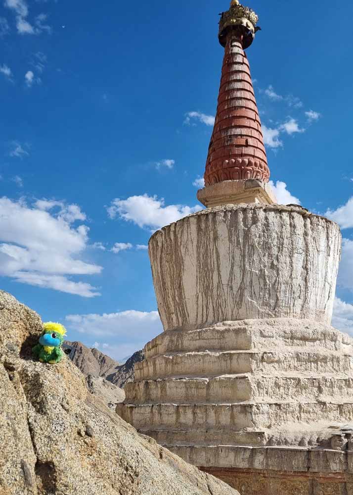 Eddie posing in front of Leh Stupa. Eddie posing in front of Leh Stupa.