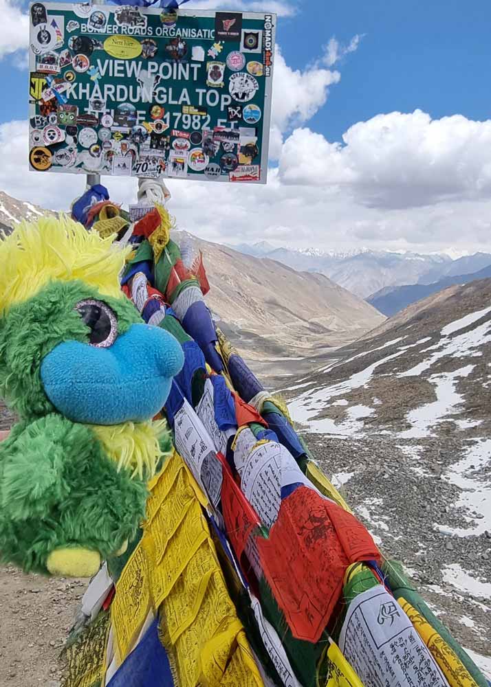 Eddie has reached one of the world's highest motorable roads in the world! Woop!! Khardung La is 5,359 m above sea level, and turns the brain into cotton and the breath into a 90 year old. ๐ฎโ๐จ Luckily Eddie's beacon is blue from before he reached this altitude.... others where not so lucky! #nonamesmentioned ๐ค Eddie has reached one of the world's highest motorable roads in the world! Woop!! Khardung La is 5,359 m above sea level, and turns the brain into cotton and the breath into a 90 year old. ๐ฎโ๐จ Luckily Eddie's beacon is blue from before he reached this altitude.... others where not so lucky! #nonamesmentioned ๐ค