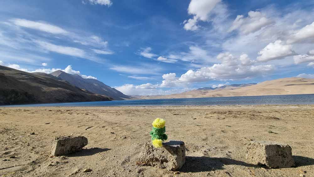 Tso Moriri is found at a wooping (and thundering headache) altitude of 4,595 m in Ladakh and is the largest of the High Altitude Lakes in the Trans-Himalayan biogeographic region. Just sayin' ๐ฒ๐ป Tso Moriri is found at a wooping (and thundering headache) altitude of 4,595 m in Ladakh and is the largest of the High Altitude Lakes in the Trans-Himalayan biogeographic region. Just sayin' ๐ฒ๐ป